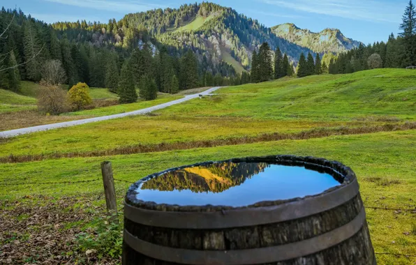Road, greens, field, forest, summer, grass, water, mountains