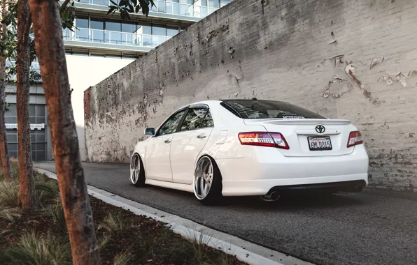 Picture white, Toyota, Toyota, Camry, stance, Camry