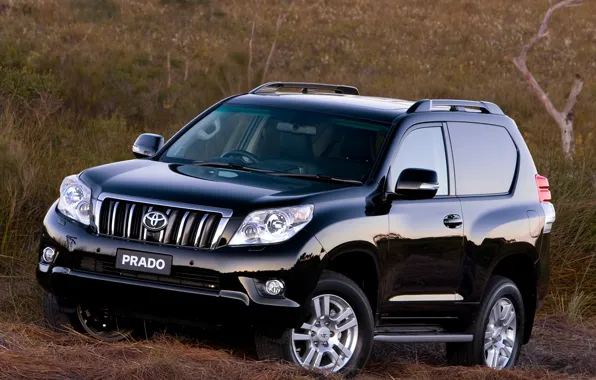 Auto, Japan, Australia, Wallpaper, Jeep, Japan, Toyota, Car
