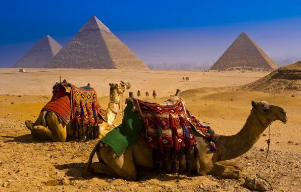 Desert, pyramid, Camels