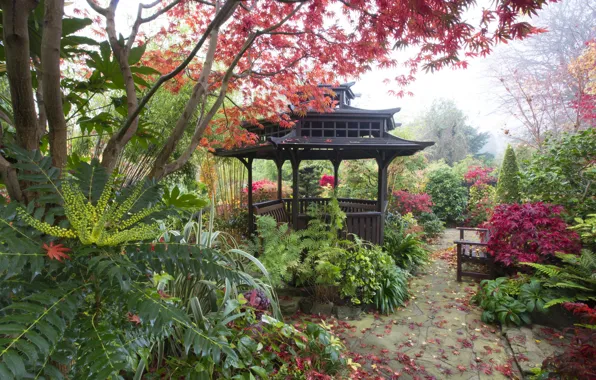Autumn, leaves, trees, bench, fog, England, garden, gazebo