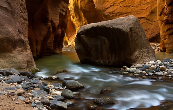 River, stones, rocks, canyon, gorge, Zion National Park, USA, Utah