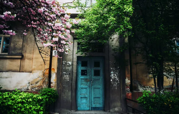 Picture trees, home, the door, Cornelia Pavlyshyn