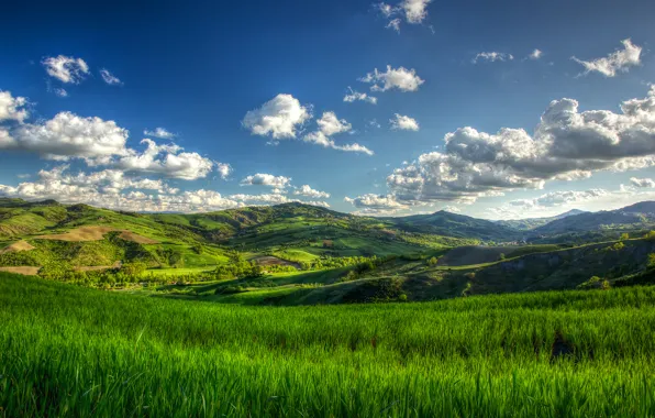 Summer, grass, cloud, tree, hills