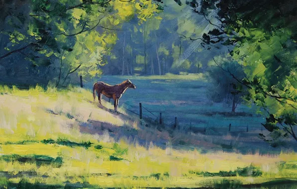 Picture greens, trees, landscape, horse, horse, the fence, morning, art