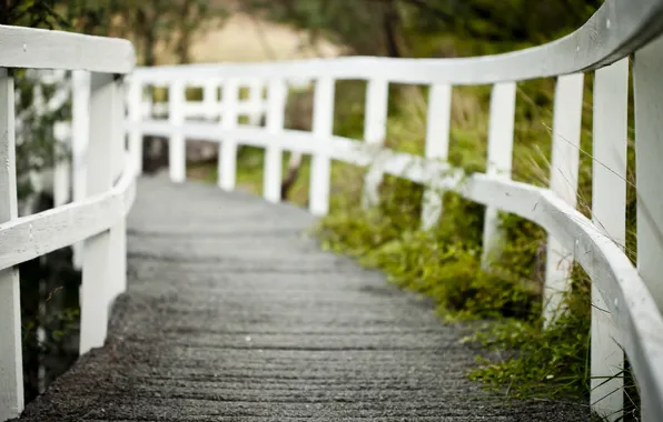 Picture road, macro, the fence