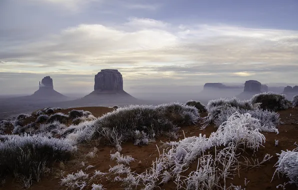 Winter, frost, grass, mountains, rocks, desert, USA, Monument Valley