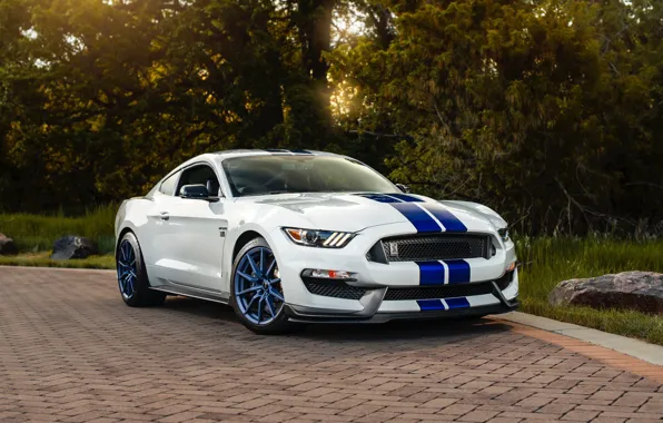 Picture road, machine, white, lights, Mustang, Ford, wheel, sports car