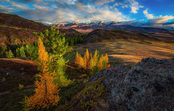 Autumn, trees, mountains, valley, Russia, Altay, The North-Chuyskiy ridge, The Altai mountains
