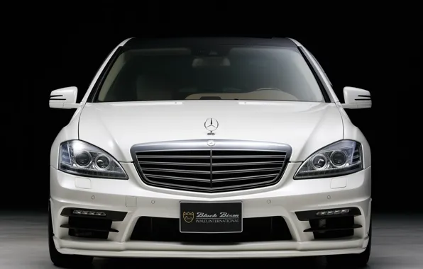 TUNING, WALD, MERCEDES, BENZ, BLACK BISON