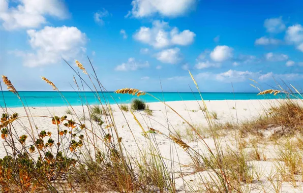 Sand, sea, beach, grass, shore, Grace, beach, bay