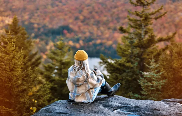 Forest, loneliness, stay, Wallpaper, mood, ate, wallpaper, picture