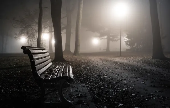 Night, the city, bench