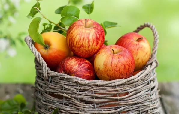 Picture autumn, leaves, basket, apples, fruit