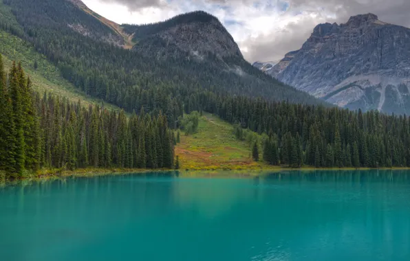 Picture forest, trees, mountains, lake, tree, Canada, British Columbia, Yoho National Park
