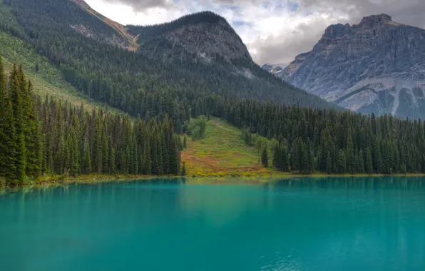 Forest, trees, mountains, lake, tree, Canada, British Columbia, Yoho National Park