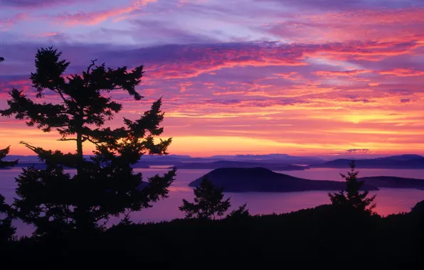 Purple, sunset, red