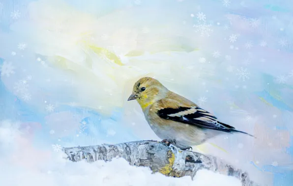 Winter, snow, snowflakes, bird, branch, texture, snowfall, blue background