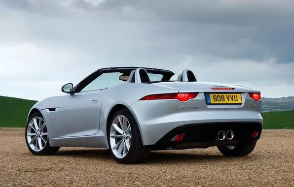 Auto, Jaguar, Jaguar, back, F-Type