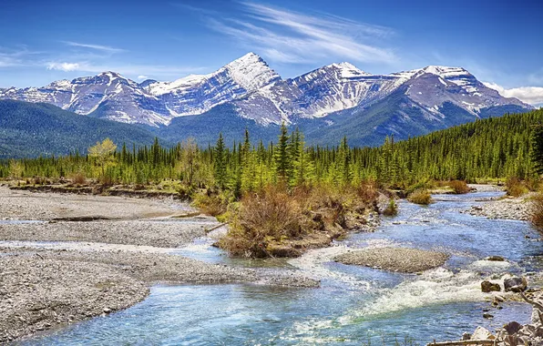 Forest, the sky, trees, mountains, stream, stones, blue, Canada