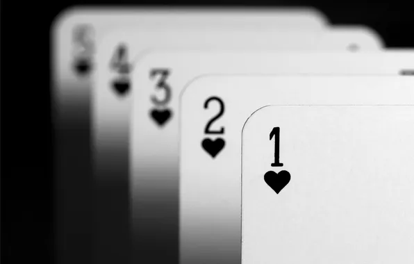 Card, macro, background