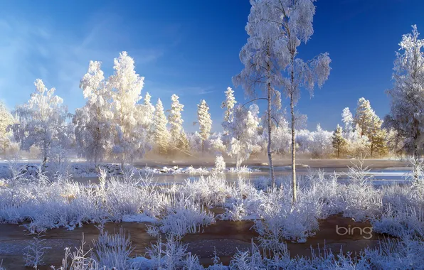 Winter, frost, the sky, water, snow, trees, landscape