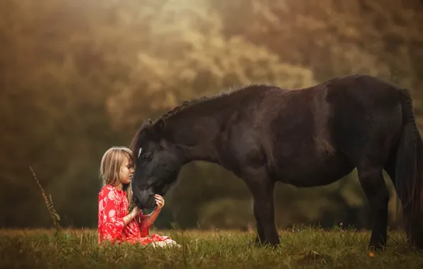 Picture nature, girl, pony
