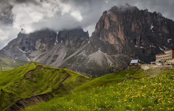 Field, clouds, flowers, mountains, rocks, tops, the building, height