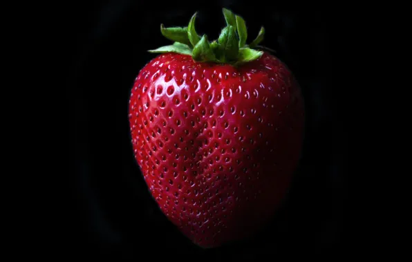 Macro, strawberry, berry