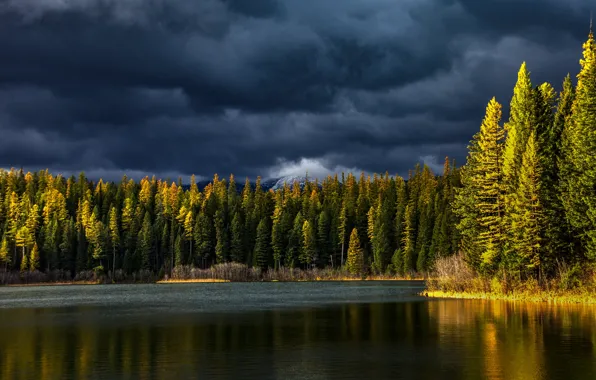Autumn, forest, the sky, light, clouds, shore, ate, pond