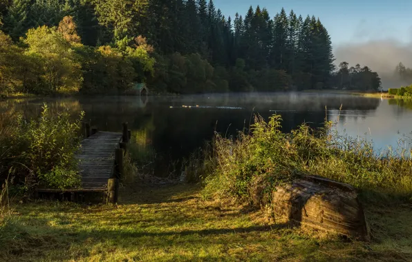 Greens, forest, grass, the sun, trees, fog, lake, boat