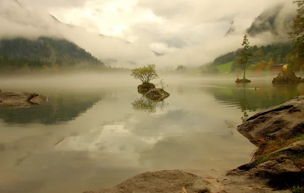 Forest, mountains, nature, fog, lake, haze, Germany, Bavaria