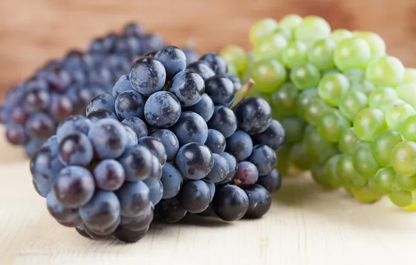 Picture white, blue, grapes, bunch