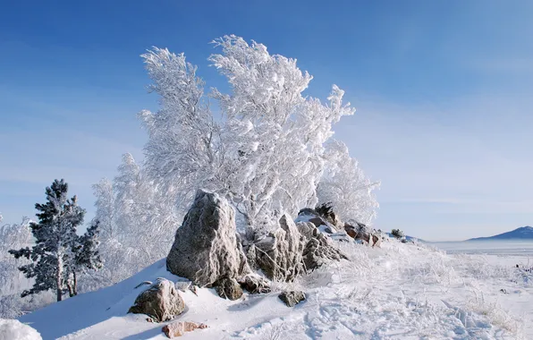Picture winter, field, snow, trees, stones