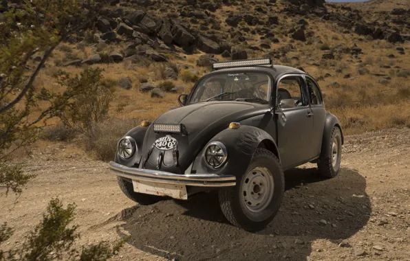 Mexico, Mexico, rally, Baja 1000, Volkswagen, Desert Race, 2017, Wolkswagen