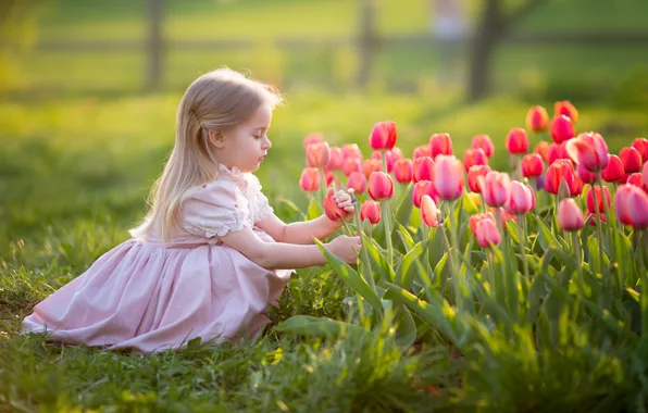 Picture flowers, girl, tulips