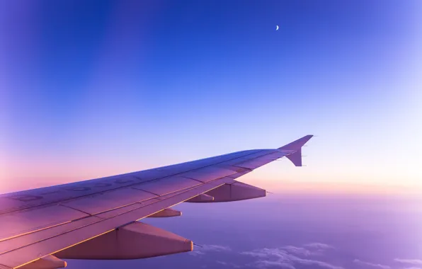 The sky, Clouds, The plane, A month, Wing