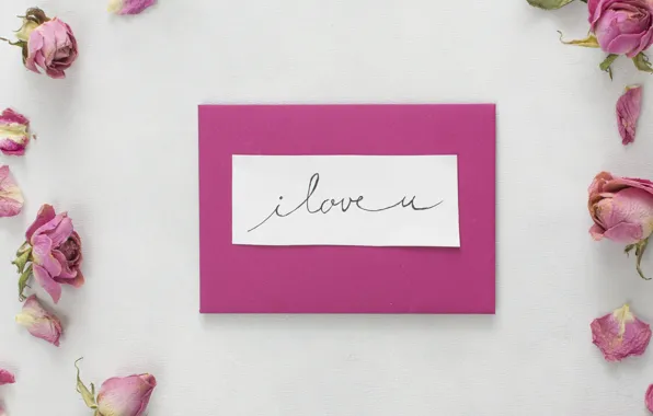 Letter, roses, composition, petals, blooms