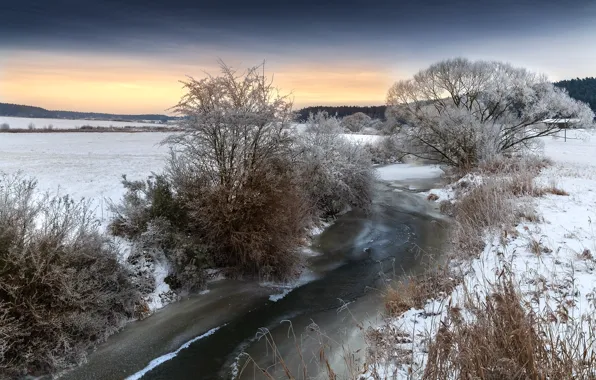 Picture winter, trees, river