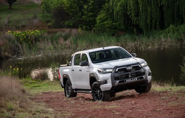 Forest, Toyota, pickup, Hilux, Toyota, Double Cab, Forest, Legend RS
