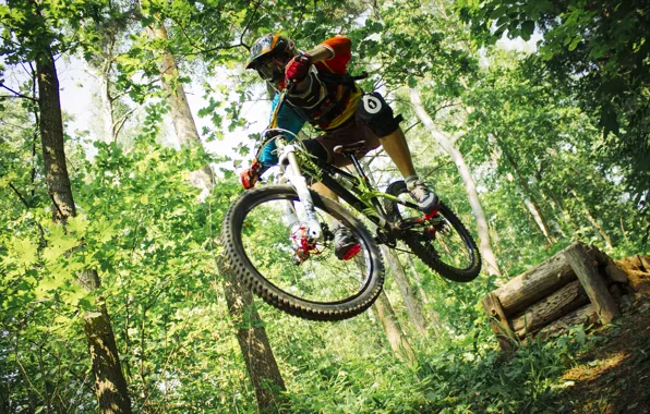 Forest, bike, forest, Ryder, fox, drop, suspension, downhill