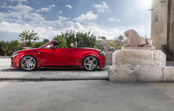 Red, Audi, Audi, profile, red, convertible, Cabrio
