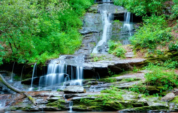 Trees, landscape, mountains, stream, rocks, waterfall, stream