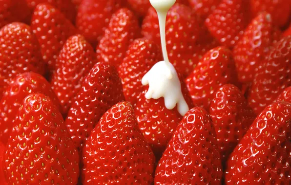 Picture berries, cream, strawberry