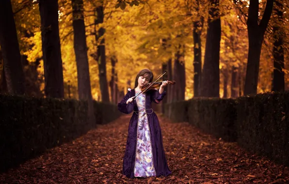 Picture autumn, violin, girl