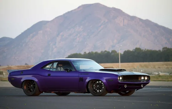 Picture Dodge Challenger, muscle car, 1970, custom, purple