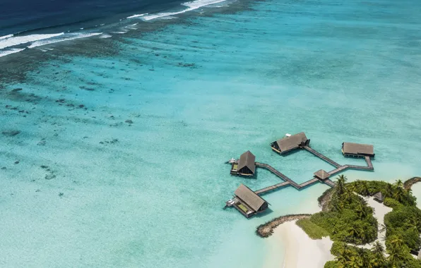 Palm trees, the ocean, island, The Maldives, resort, Laguna, Maldives, aerial