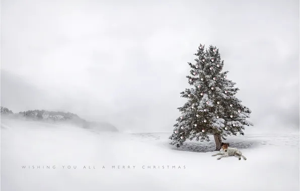Tree, toys, dog, prazdinik, Christmas tree