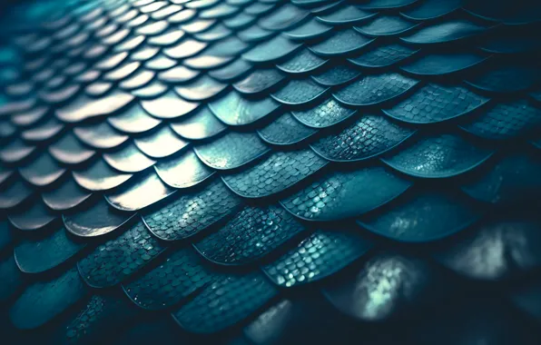 Wallpaper lights, dragon, texture, scales, tide, dragon scales for ...