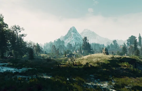 Landscape, nature, the game, The Witcher 3